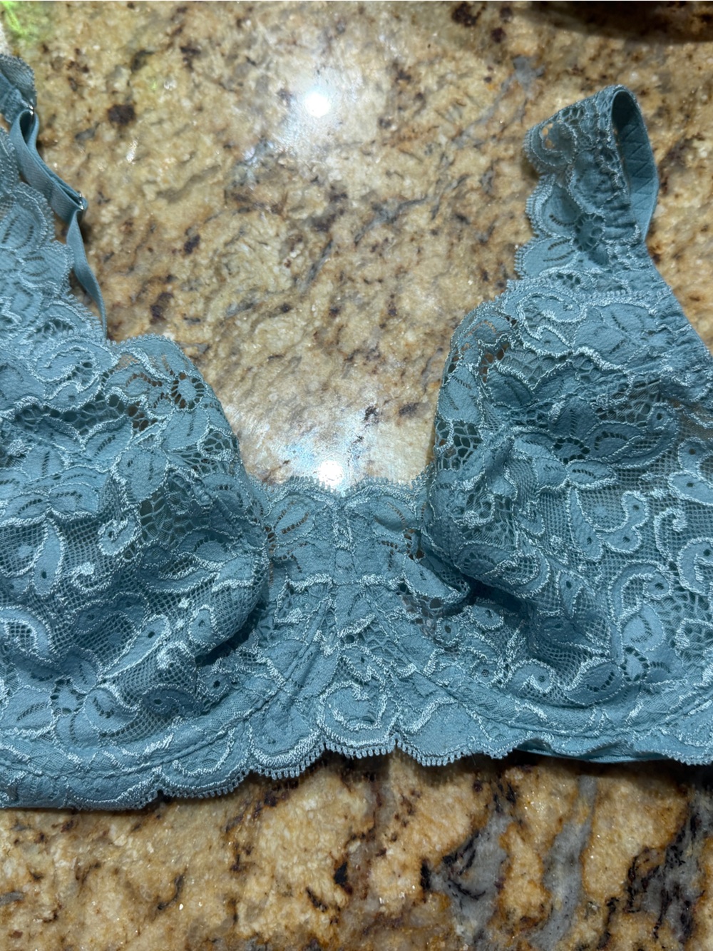 Hanro Soft Aqua Lace Underwire Bra 34d
